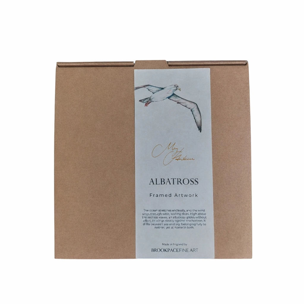 **NEW** Albatross Framed Print