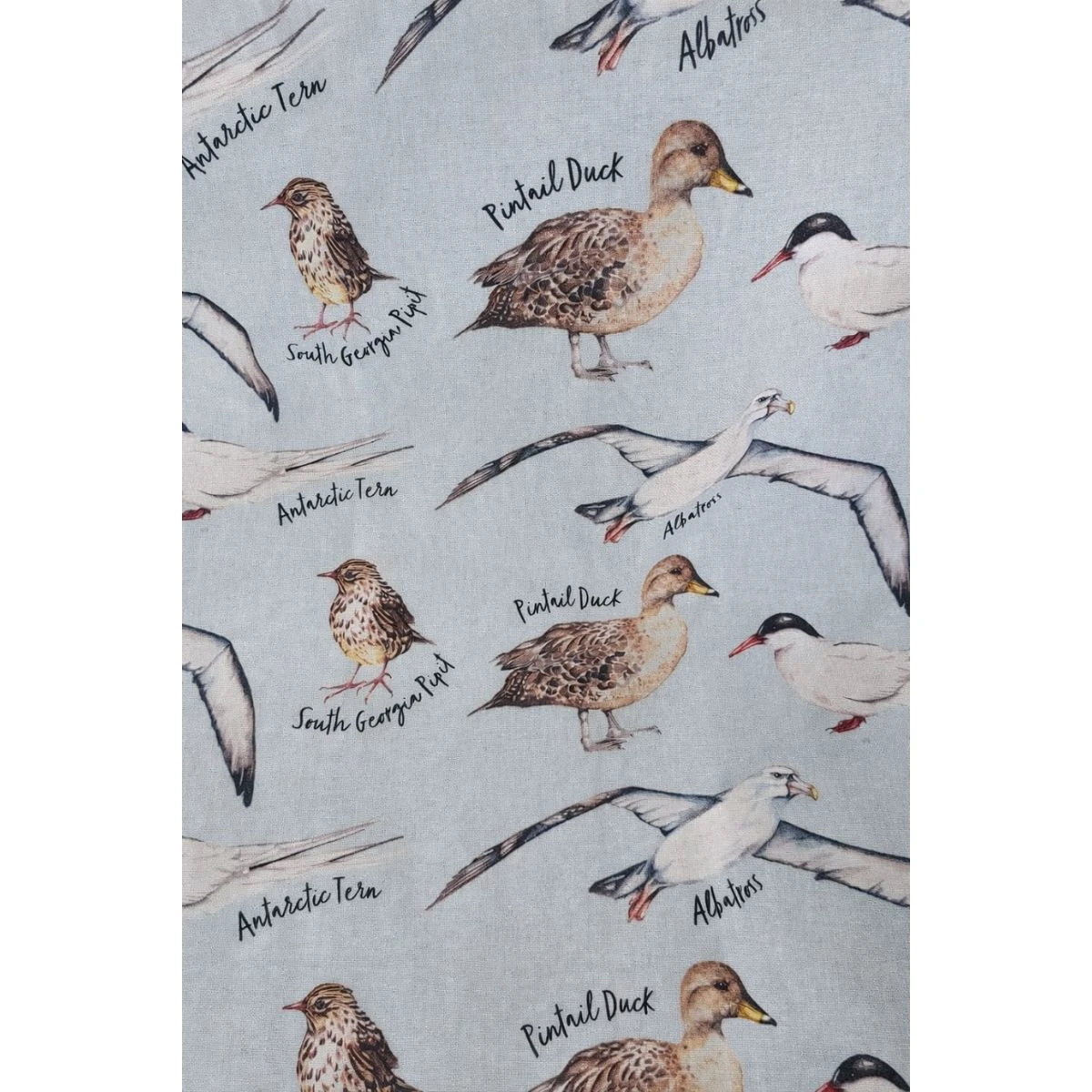 **NEW** Meg Hawkins Birds of South Georgia Apron