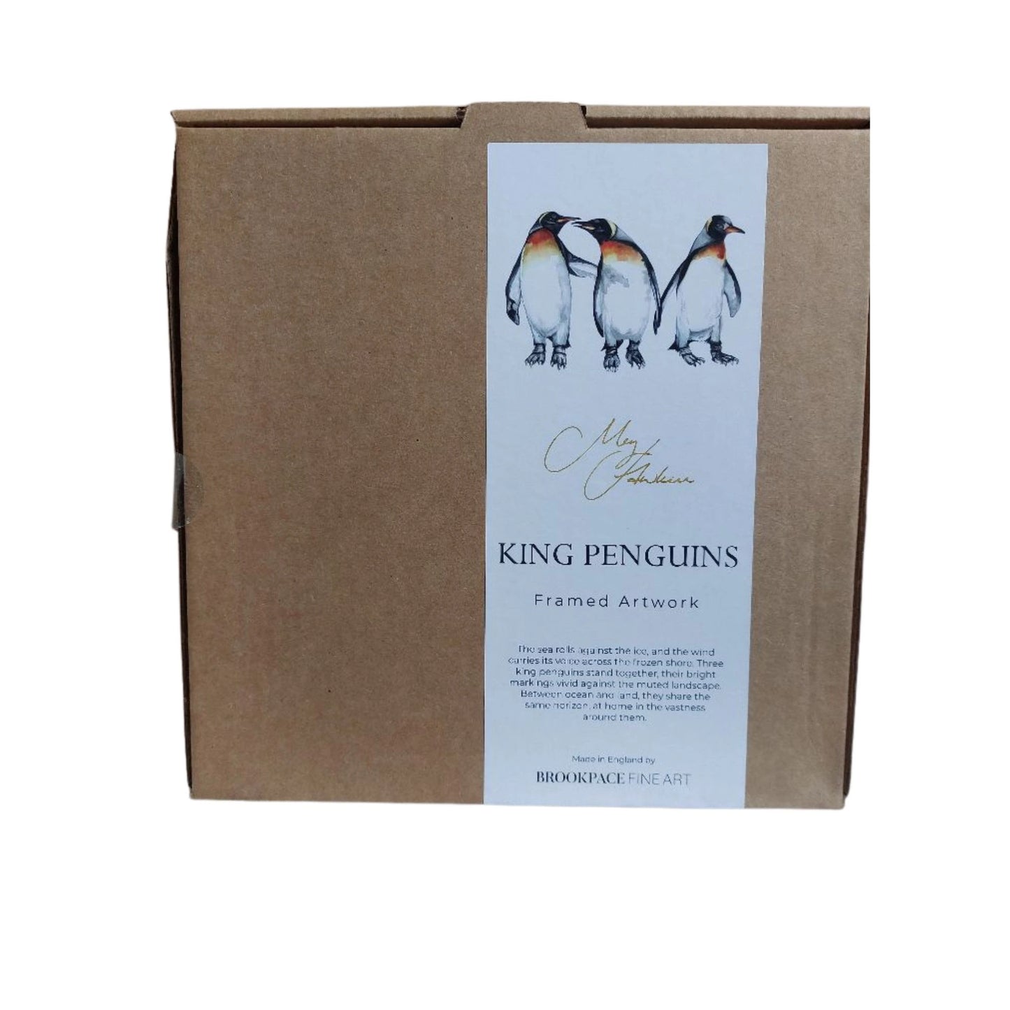 **NEW** King Penguin Framed Prints
