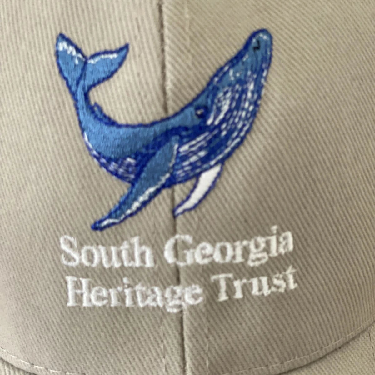 Baseball Cap Whale design
