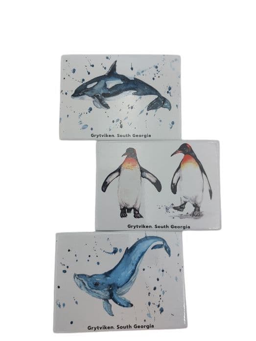 Grytviken, South Georgia Magnets