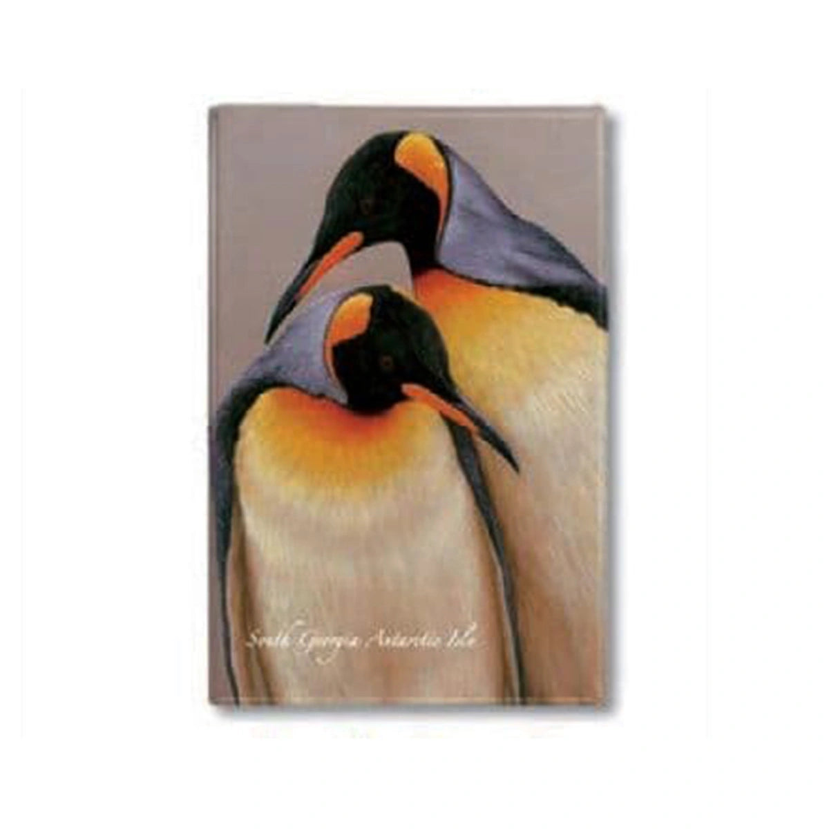 Penguin Fridge Magnets