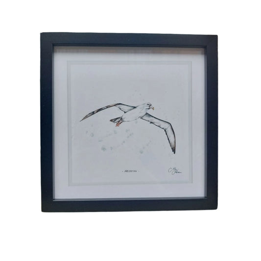 **NEW**  Albatross Framed Print