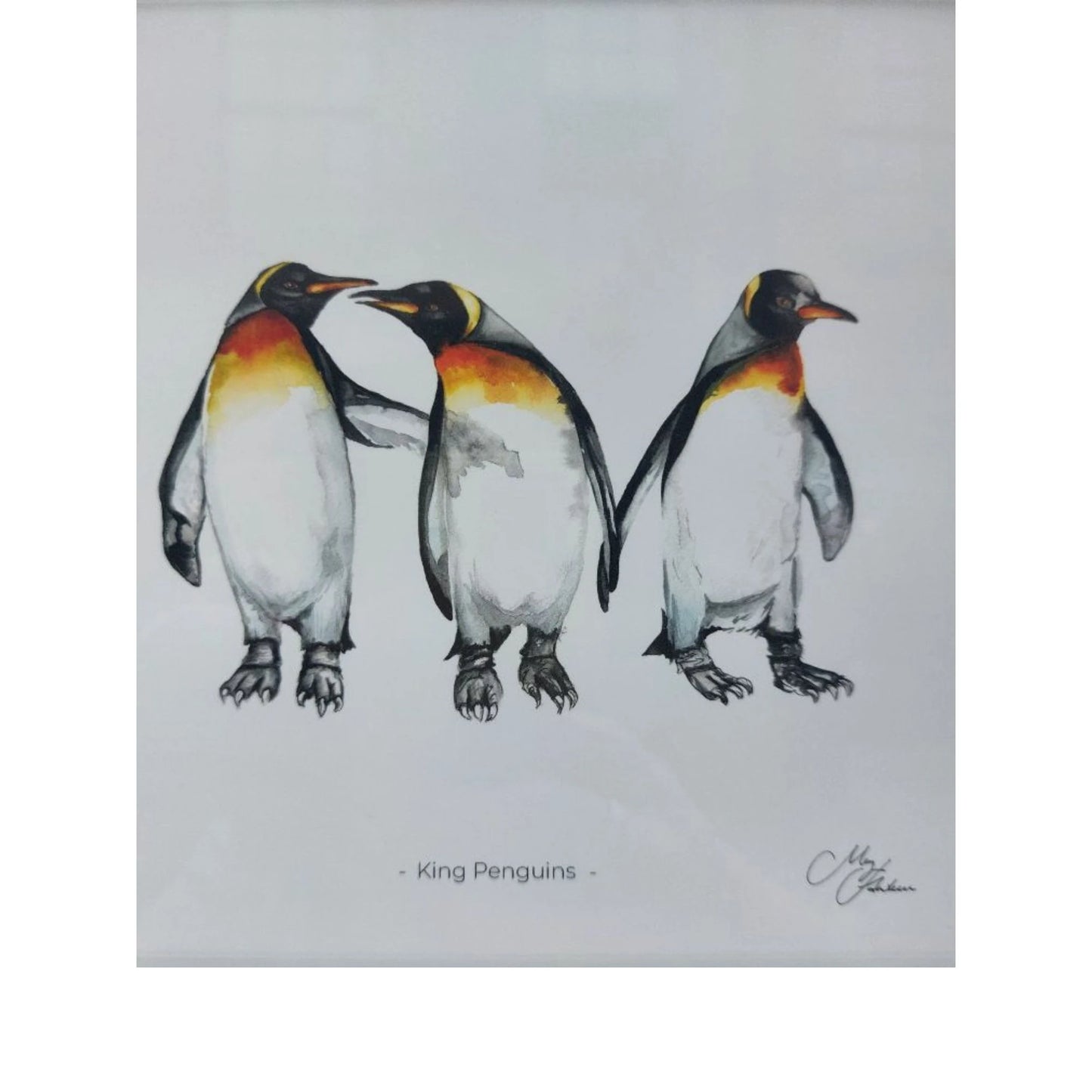 **NEW**  King Penguin Framed Prints