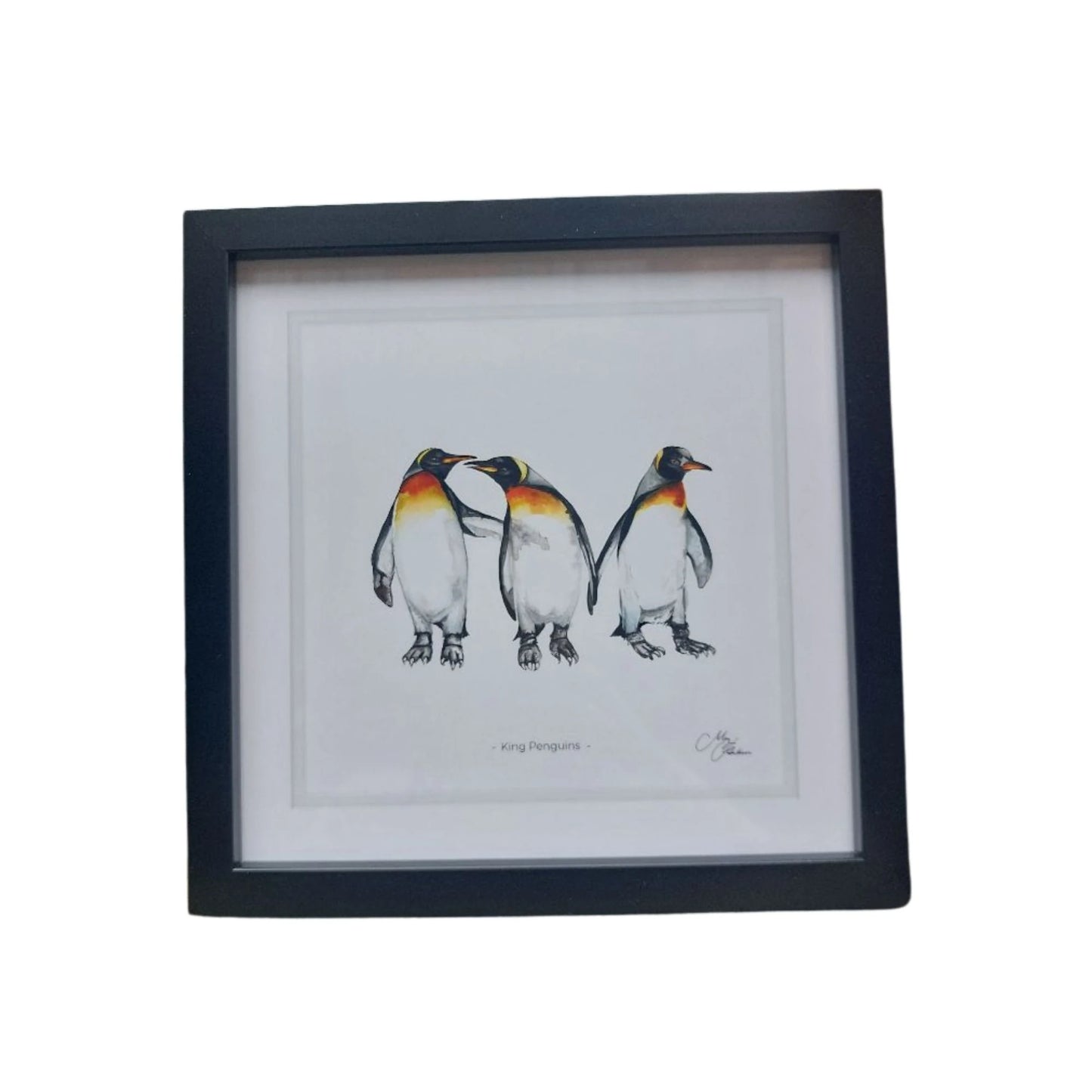 **NEW**  King Penguin Framed Prints