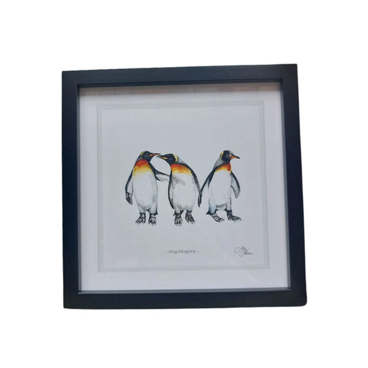 **NEW**  King Penguin Framed Prints