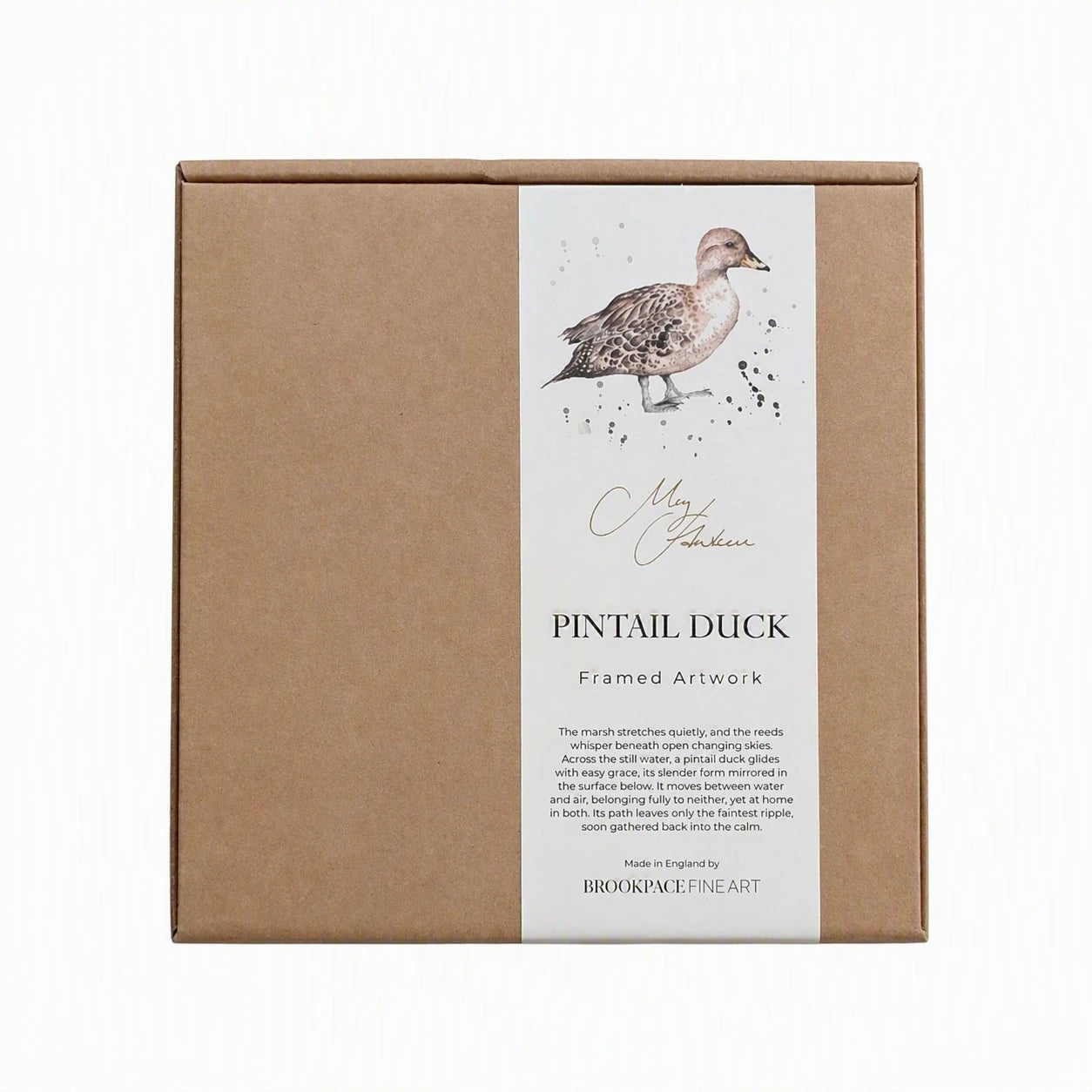 **NEW**  Pintail Duck Framed Print