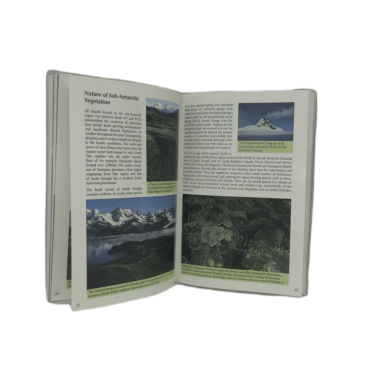 A Field Guide to the Flora of South Georgia