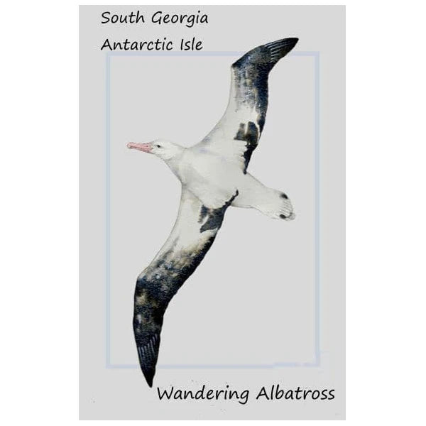 SALE ** Albatross T Towel ** SALE