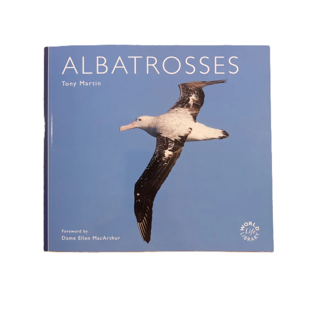 Albatrosses