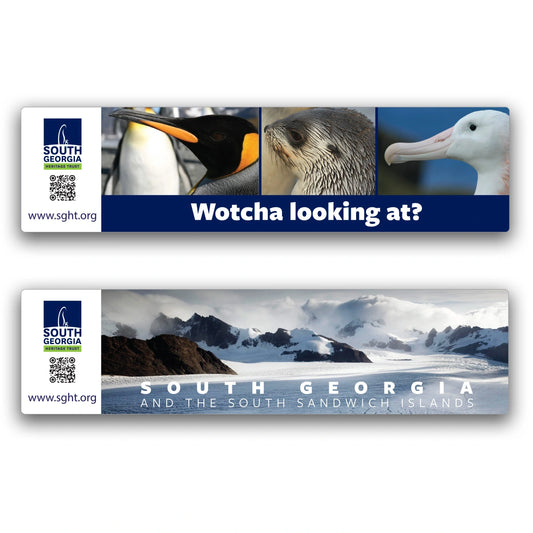 SALE ** Car Window Sticker ** SALE