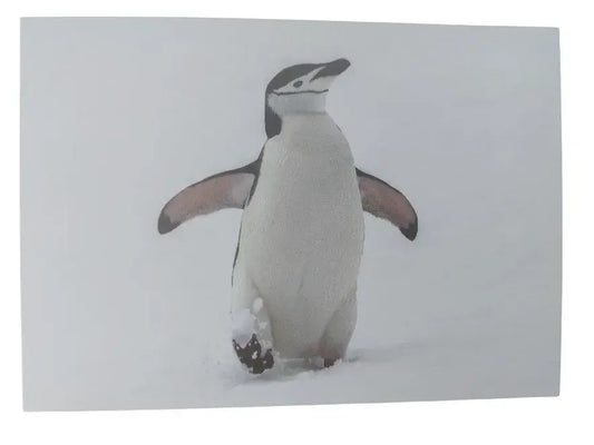 Chinstrap Penguin Christmas Cards