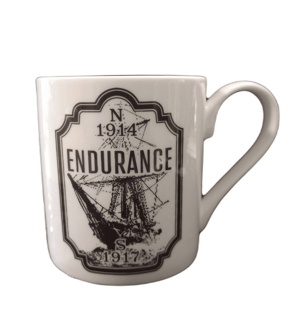 Endurance China Mug