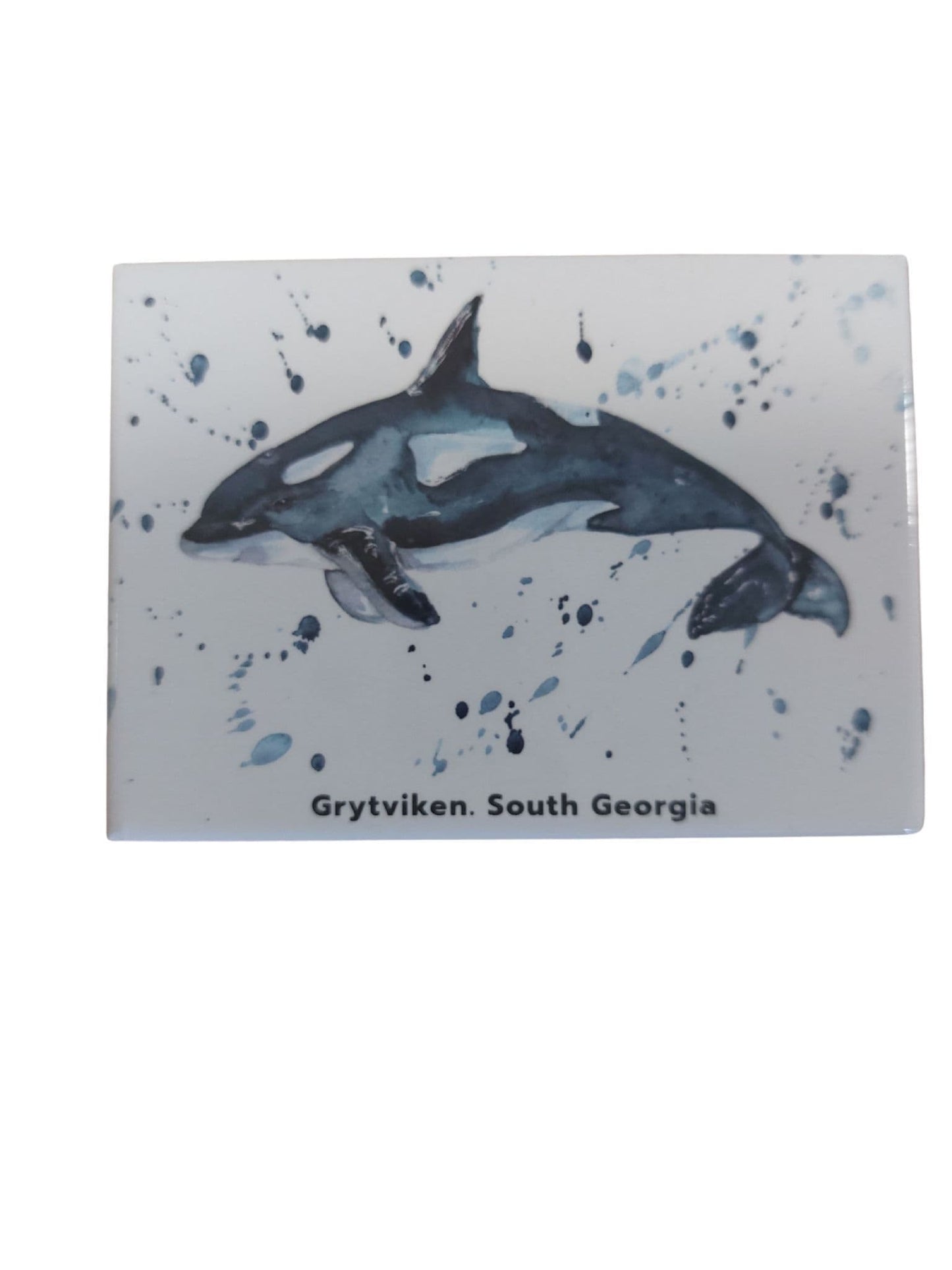 Grytviken, South Georgia Magnets