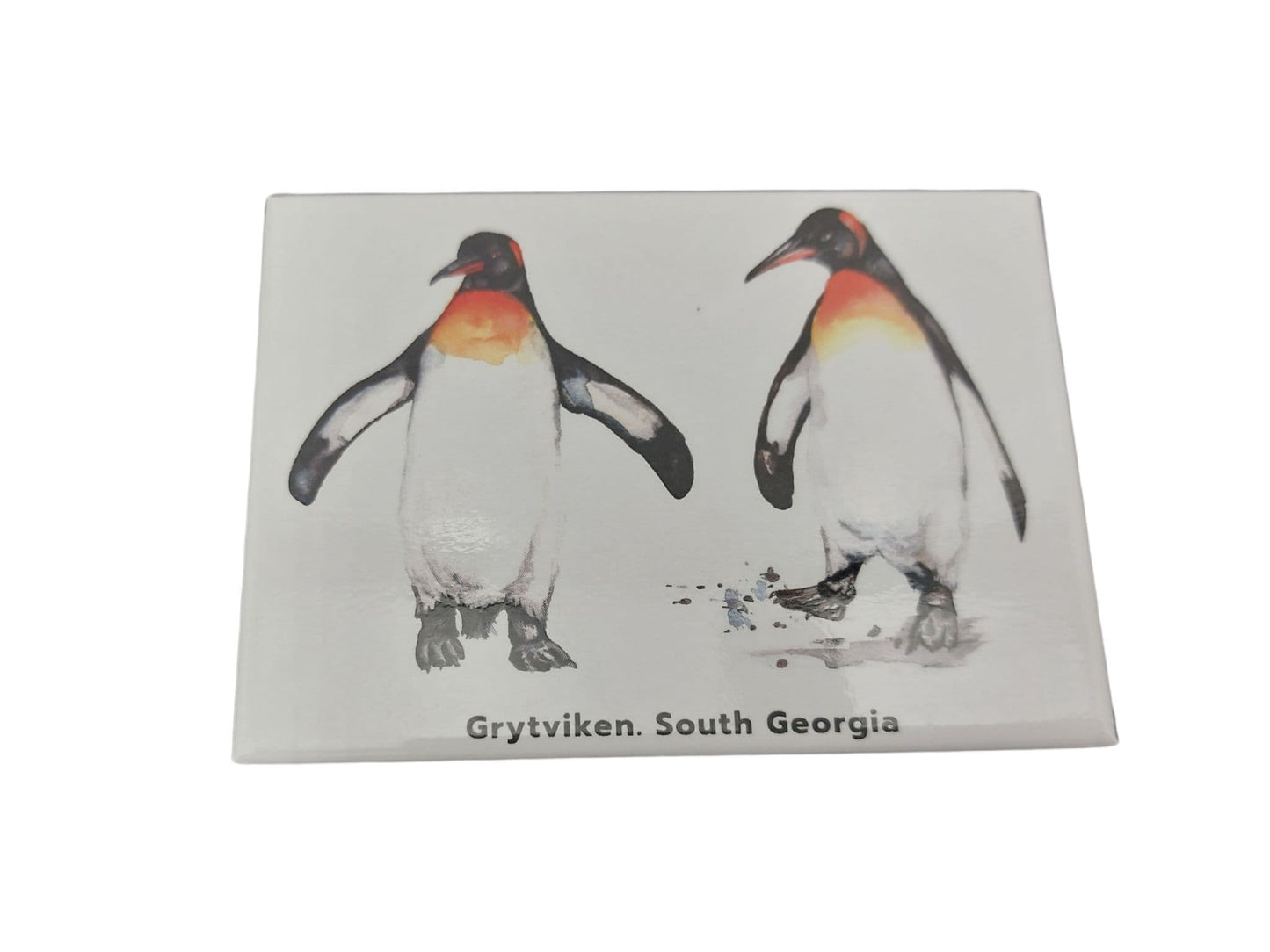 Grytviken, South Georgia Magnets