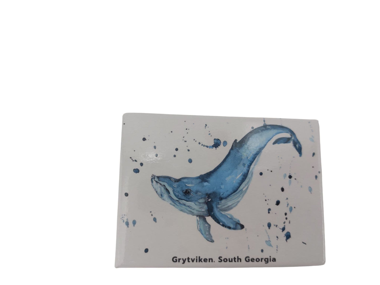 Grytviken, South Georgia Magnets