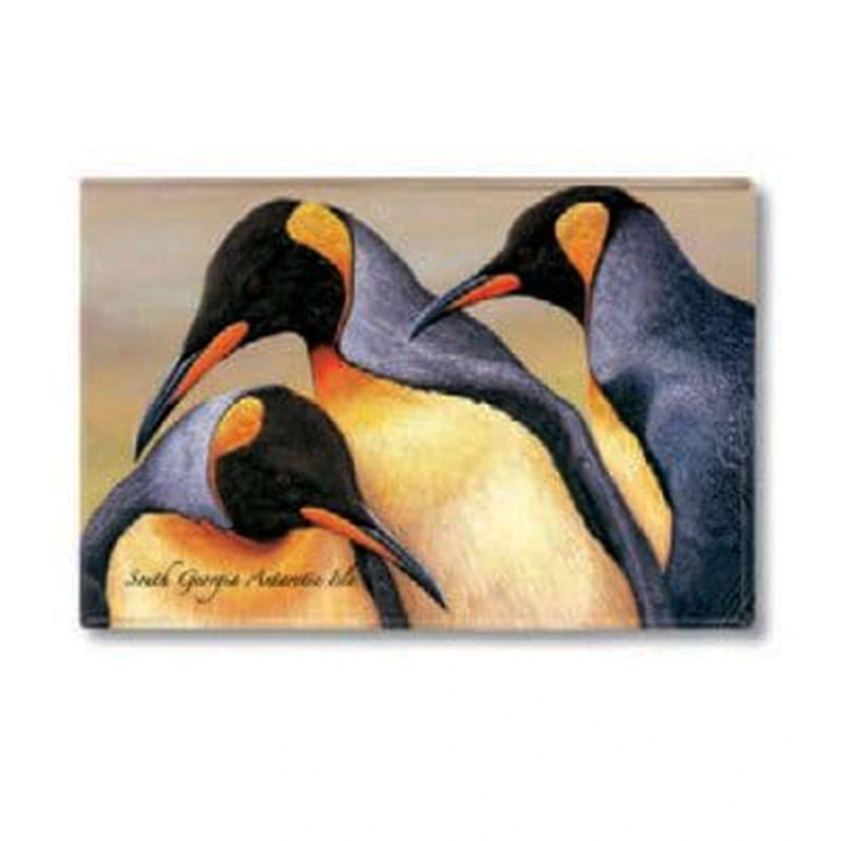 Penguin Fridge Magnets