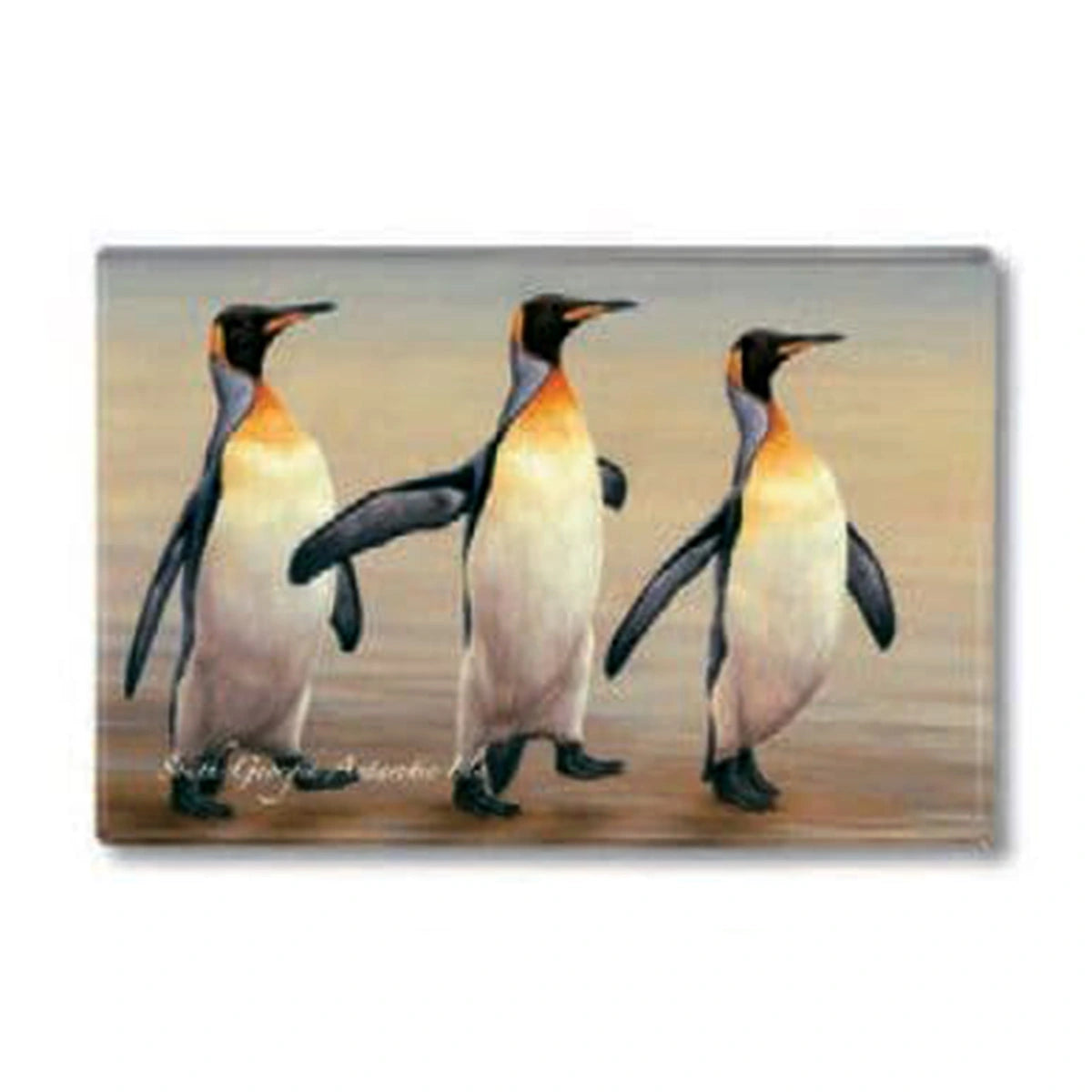 Penguin Fridge Magnets