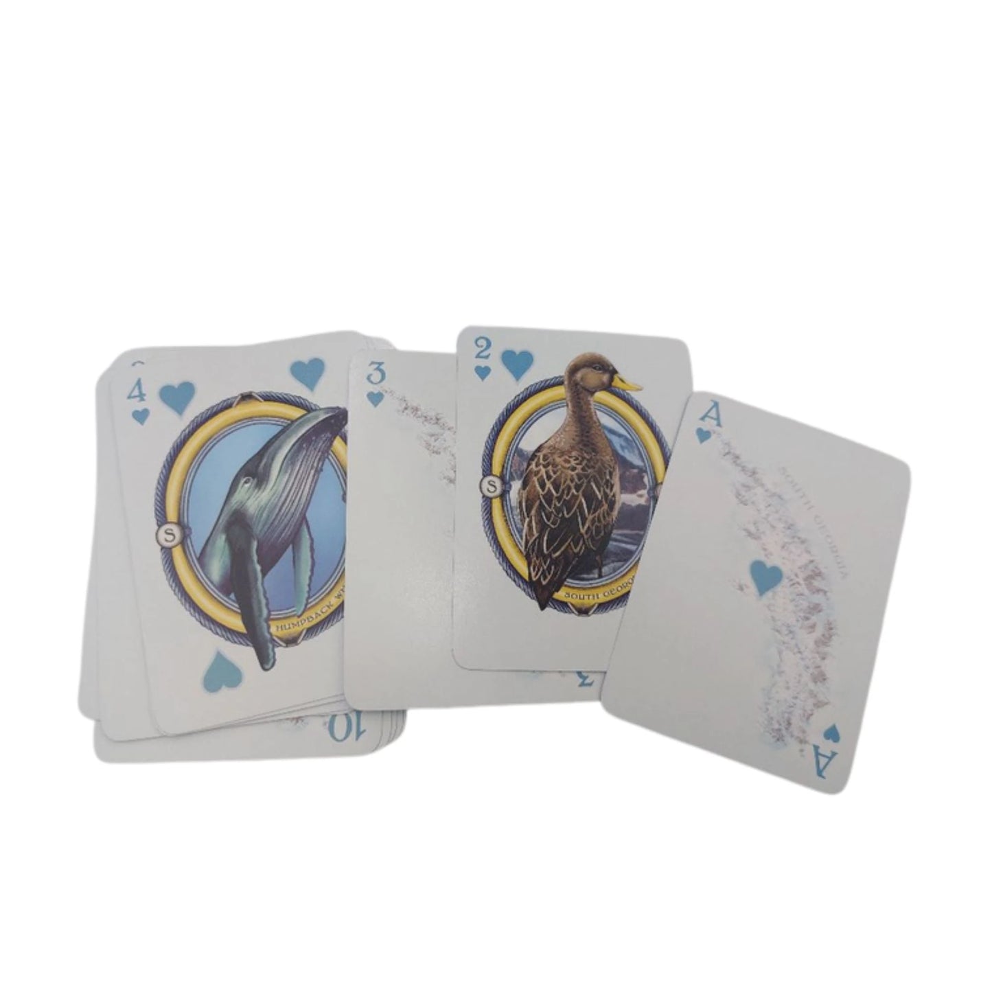 **NEW** Limited Edition Playing Cards