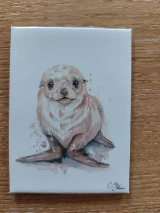 Seal Pup Magnet