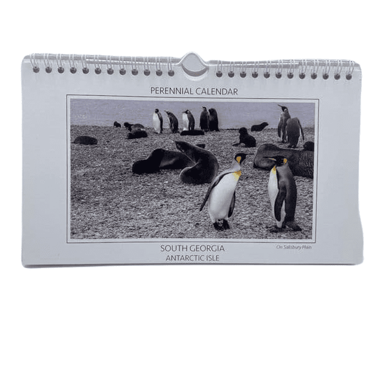 SALE ** South Georgia Antarctic Isle - A5 Perennial Desk Calendar ** SALE