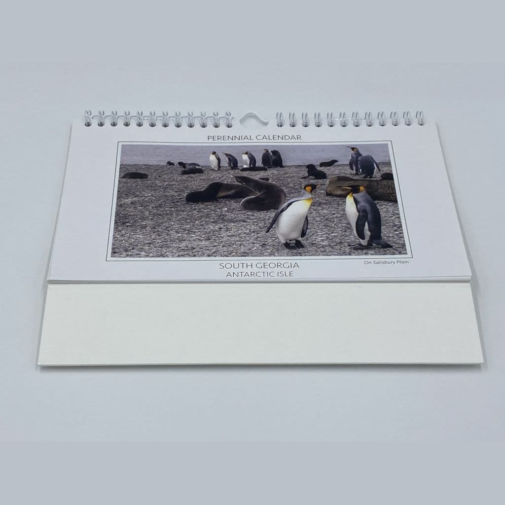 SALE ** South Georgia Antarctic Isle - A5 Perennial Desk Calendar ** SALE