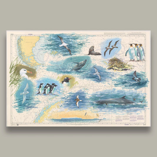 Southern Ocean Chart 2: South Georgia & Southern Ocean. Print Signed and Numbered by artist.