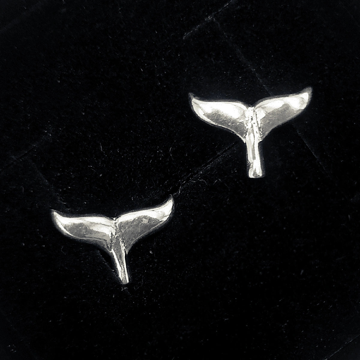 Whale Tail Earrings