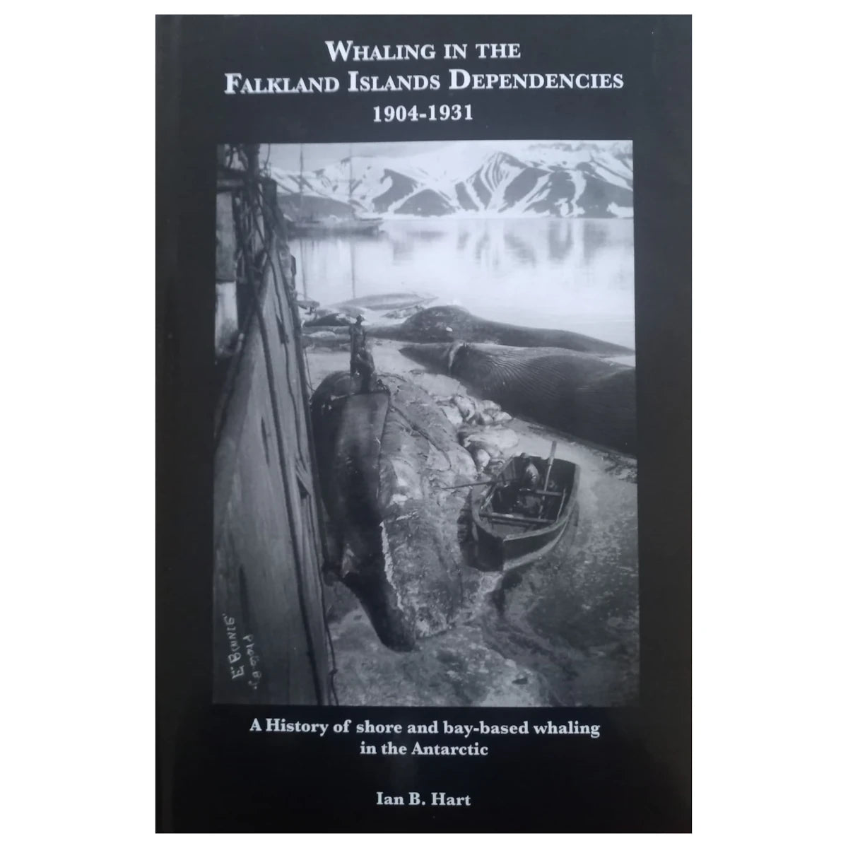 Whaling in the Falkland Island Dependencies, 1904-1931